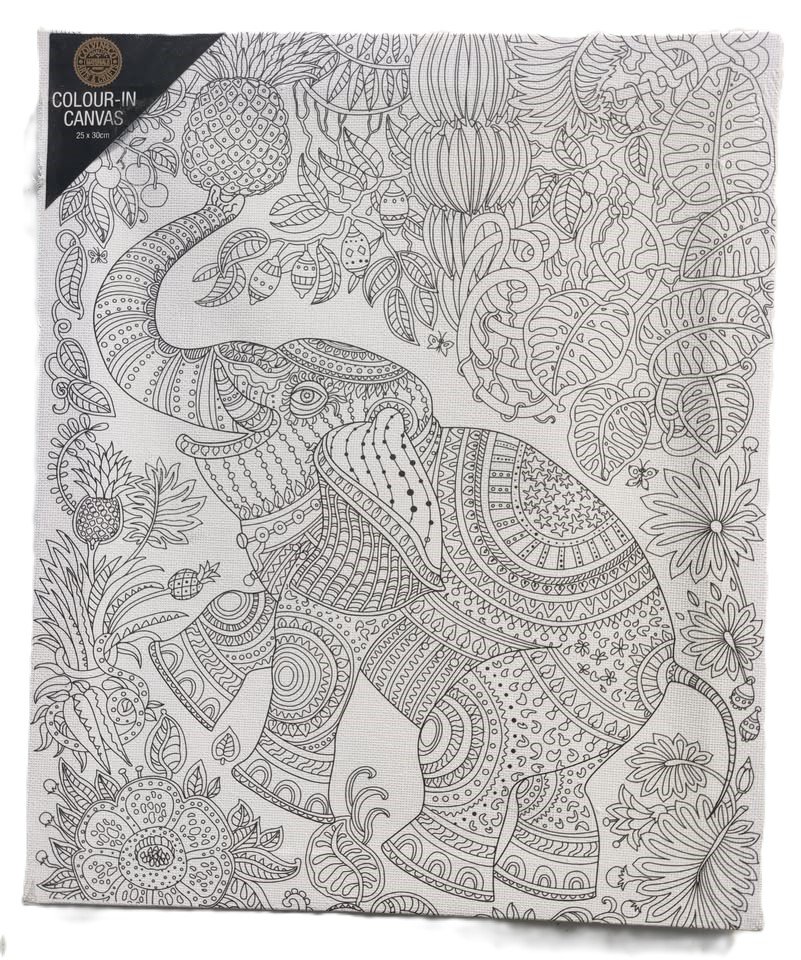 Elephant Colour In Canvas