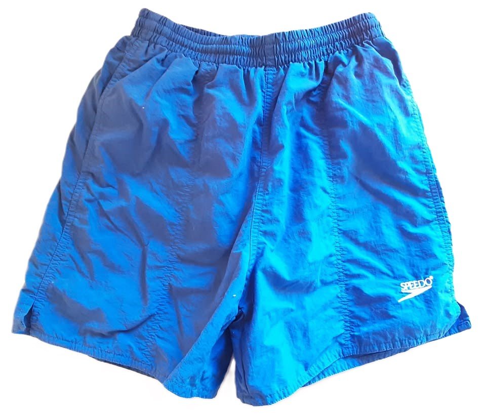 Speedo Boys Blue Swimming Shorts